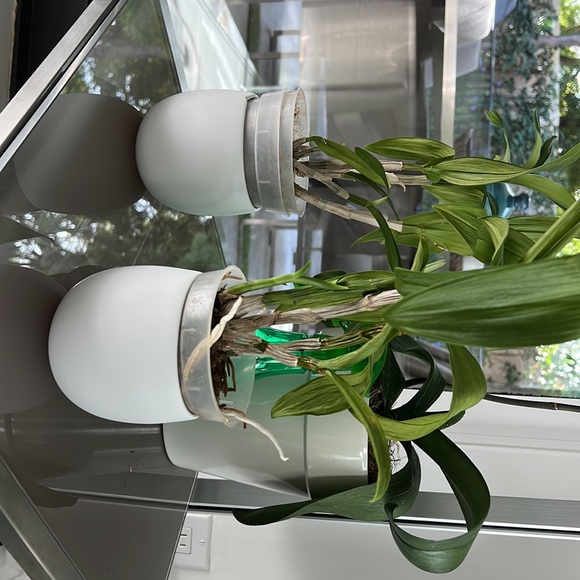 Nespresso - Picture 6 of 8